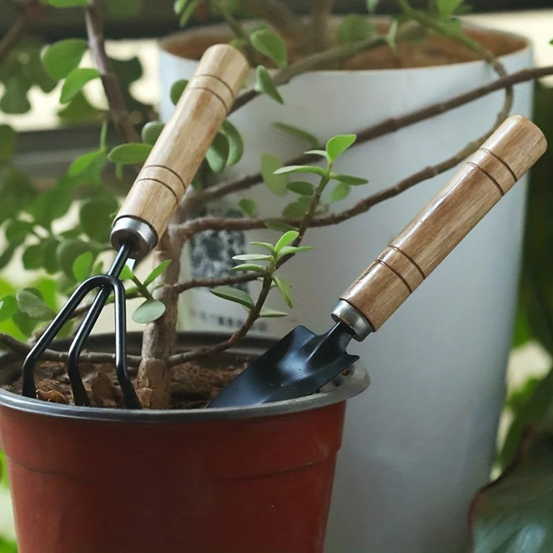 MiniGarden™ | Kit de Jardinagem para Vasos e Suculentas
