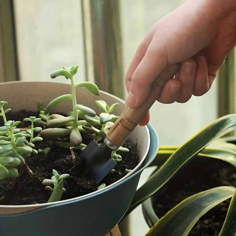MiniGarden™ | Kit de Jardinagem para Vasos e Suculentas